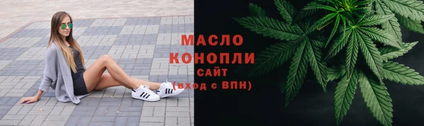 сатива Медногорск