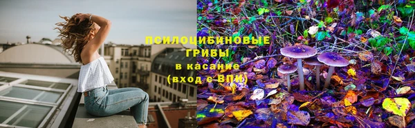 сатива Медногорск