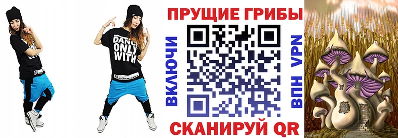Псилоцибиновые грибы прущие грибы  Купить закладки  Хвалынск 